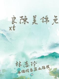 良陈美锦免费txt