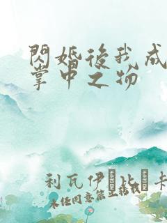 闪婚后我成大佬掌中之物