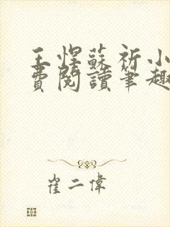 王悍苏祈小说免费阅读笔趣阁最新