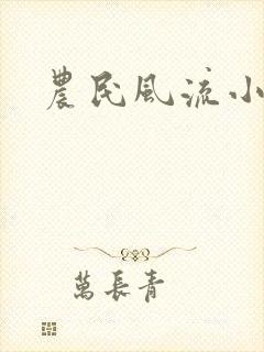 农民风流小说