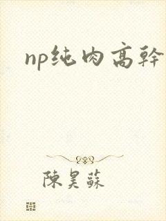 np纯肉高干文