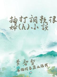 抽打调教很虐贱妇(h)小说