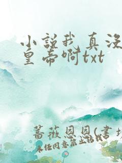 小说我真没想当皇帝啊txt