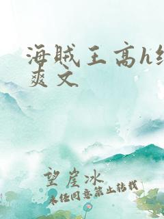 海贼王高h纯肉爽文