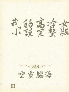 我的高冷女总裁小说完整版本