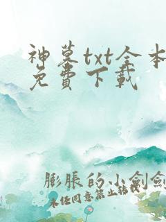 神墓txt全本免费下载