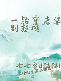 一胎宝老婆大人别想逃