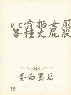 v c偷拍女厕各种大屁股