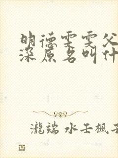 明德雯雯父女情深原名叫什么