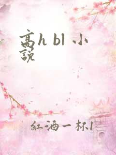 高h bl 小说