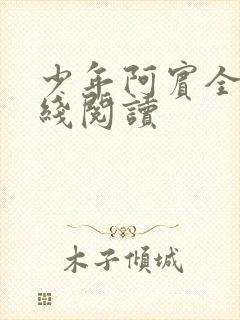 少年阿宾全书在线阅读