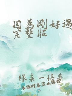因为刚好遇见你完整版