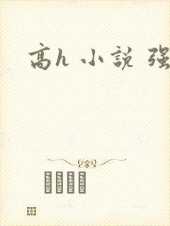 高h 小说 强
