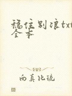 稳住别浪txt全本