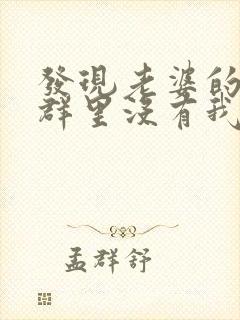 发现老婆的家庭群里没有我小说