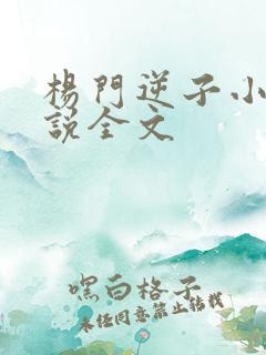 杨门逆子小宝小说全文