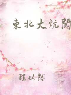 东北大炕阅读