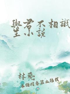 与君不相识的重生小说
