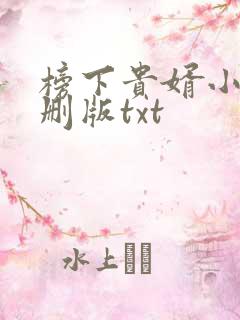 榜下贵婿小说未删版txt