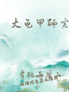 大龟甲师完本