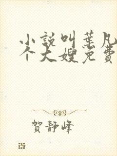 小说叫叶凡有七个大嫂免费阅读
