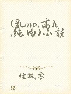 (乱np,高h,纯肉)小说