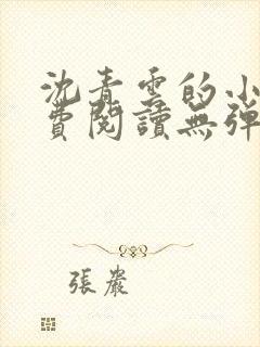 沈青云的小说免费阅读无弹窗