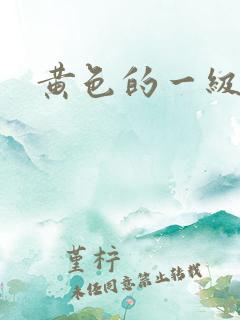 黄色的一级大片
