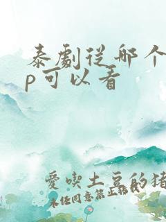 泰剧从哪个app可以看