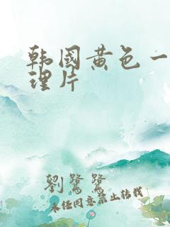 韩国黄色一级伦理片