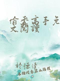 偷香高手免费全文阅读