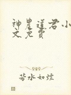 神农道君小说全文免费
