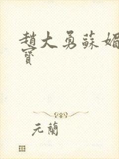 赵大勇苏媚赵大宝