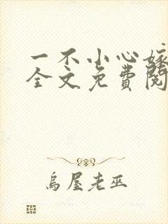 一不小心嫁总裁全文免费阅读