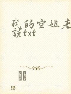 我的空姐老婆小说txt