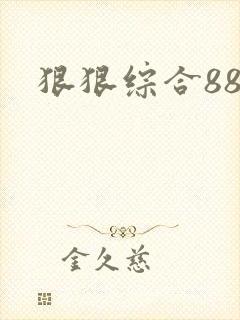 狠狠综合88