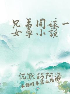 兄弟同嫁一妻的女尊小说