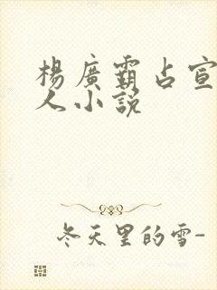 杨广霸占宣华夫人小说