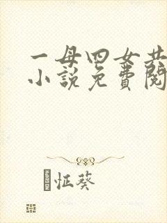一母四女共一婿小说免费阅
