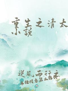 重生之清太子妃小说