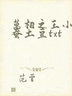 万相之王小说天蚕土豆txt