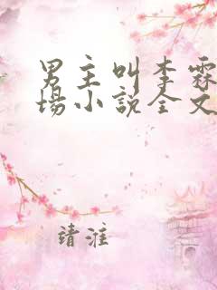男主叫李霖的官场小说全文免费阅读