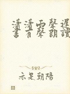 潇潇雨声迟电子书有声朗读