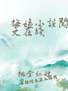 梅姨小说阅读全文在线