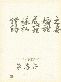 错嫁成婚之总裁的私宠甜妻