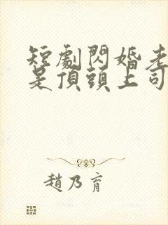 短剧闪婚老公竟是顶头上司大结局
