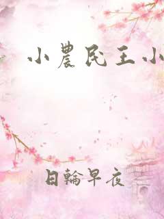 小农民王小兵