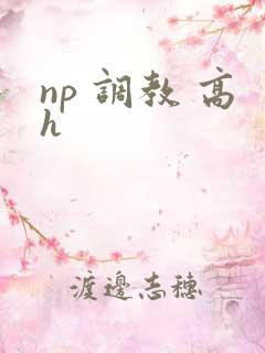 np 调教 高h