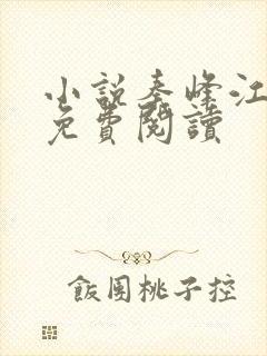 小说秦峰江晓晴免费阅读