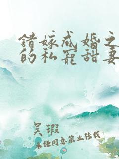 错嫁成婚之总裁的私宠甜妻完整版